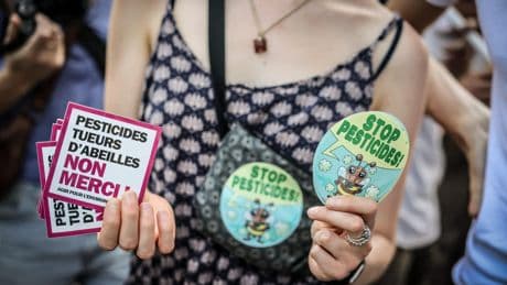 Pesticides, mégabassines, élevages : que reproche-t-on exactement à la loi Duplomb ?