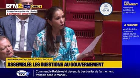 "Les Réunionnais ont été abandonnés": Karine Lebon (PCF) interpelle le gouvernement sur le chikungunya