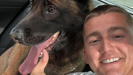 Mart Hoogkamer deelt goed nieuws: herenigd met zijn vermiste hond