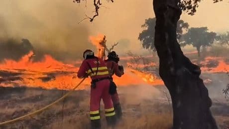 Millions of people threatened by wildfires near their homes, research finds