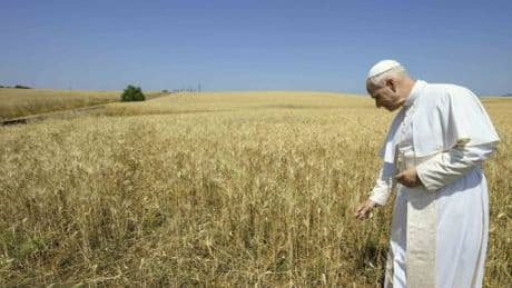 Il grido di dolore del Pontefice: "La Terra sta cadendo in rovina"