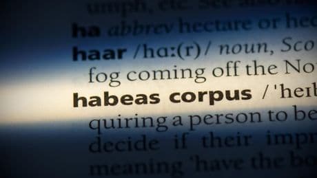 Qu’est-ce que l’« habeas corpus », remis en cause par l’administration Trump ?