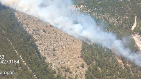 Emergencias solicita la movilización de UME para frenar el incendio forestal el paraje de San Pascual de Ibi