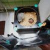 Zookeepers in Prague turn into puppeteers to save baby vultures
