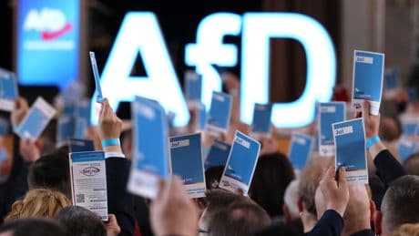 Sachsen-Anhalt | AfD: Das Ziel ist die Machtübernahme
