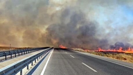 Edirne'de anız yangını: Kara yolu ulaşıma kapatıldı