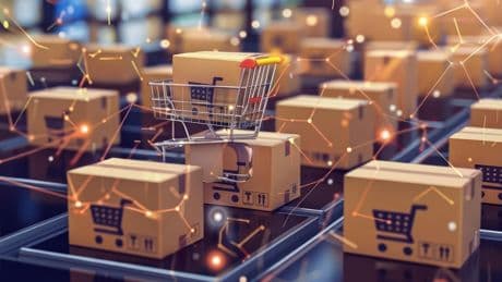 In aumento il numero delle aziende di ecommerce B2c