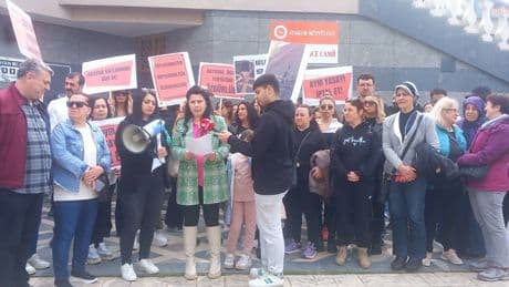 Samsun’da bir kediyi öldüren öğrencilere tepki: “Son olması için mücadele edeceğiz”