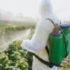 Proposition de loi Duplomb : les pesticides néonicotinoïdes, comme l'acétamipride, sont-ils dangereux pour la santé ?