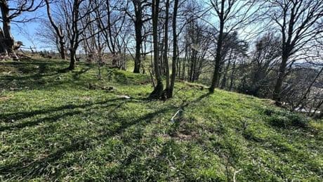 Scraps of land across Dumfries and Galloway to be used to support nature and benefit local communities