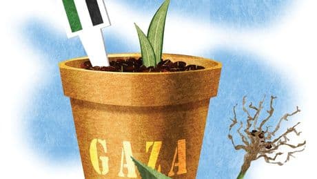 Debunking the Gaza starvation narrative