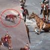 Paarden veroorza­ken chaos tijdens defilé op Franse nationale feestdag: het ene paard valt, het andere loopt zonder ruiter weg