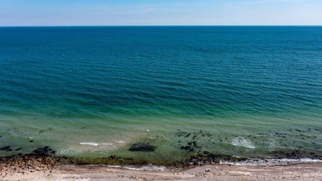 Meeresschutz: Land stellt Pläne für mehr Ostseeschutz vor