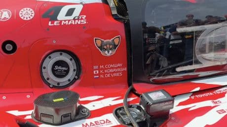 Chihuahua op Le Mans-auto Nyck de Vries is aparte easter egg