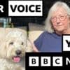 More pets being put down due to rising vet bills, BBC told