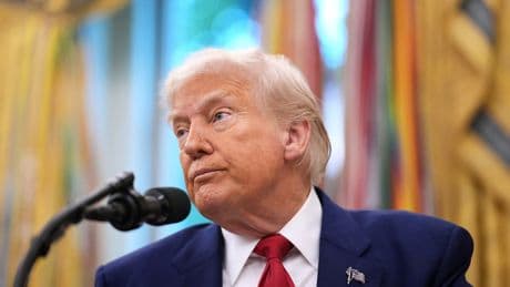 Biographer claims it’s Trump who didn’t get into Harvard