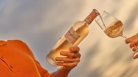 Freixenet da un giro a sus vinos más aromáticos y conquista el verano