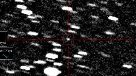 Scientists tracking ‘interstellar’ object that has come to us from another solar system