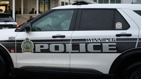 Winnipeg police investigate 5-vehicle Monday morning crash on Ellice Avenue