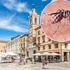 'Danger to life' warning issued as two deadly diseases detected at popular holiday destination