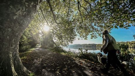 Essen: Parken am Baldeneysee – So teuer wird es ab August