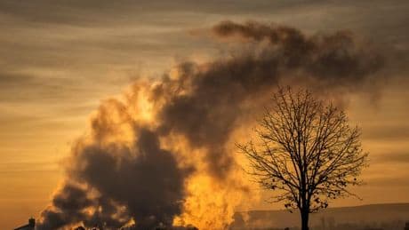 Fire alert in Portugal holiday hotspots - including Algarve