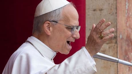 Pope Leo confirms stance on gay marriage, abortion