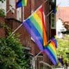 Ondanks vernielingen hangt deze straat elk jaar vol regenboog-vlaggen