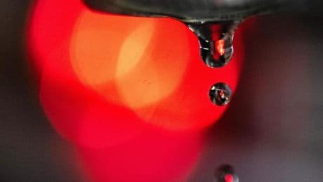 Hitze: Wasserversorger rechnen wegen Trockenheit mit mehr Engpässen