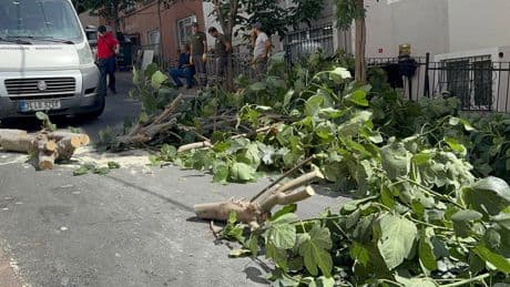 İstanbul'da şiddetli fırtına; ağaçlar devrildi, yaralılar var