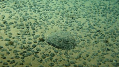 Un moratoire de dix ans «pour évaluer les risques» avant d’exploiter les grands fonds marins