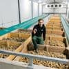 De tijd dringt: boer Dirk probeert te voorkomen dat hij 190.000 kilo aardappelen moet weggooien