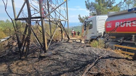 Mudanya'da 1 dönüm orman yandı