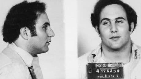 Son of Sam victim says serial killer’s friend told her ‘David didn’t do this’