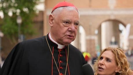 Islam und Homosexualität – Deutscher Kardinal fordert Umdenken von neuem Papst