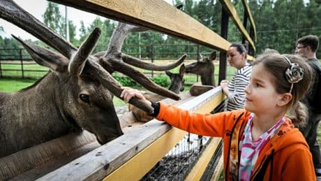 Russie: ces écologistes qui s'opposent au projet de construction d'une autoroute au cœur d’un parc national