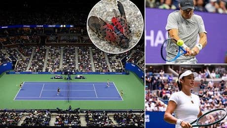 US Open is braced for an invasion of sex-crazed BUGS - with stars including Emma Raducanu and Jack Draper advised to alert authorities then STOMP them to death