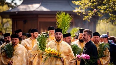 PHOTO COLLECTION: Palm Sunday