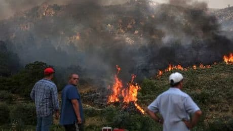 Child, 4, dies on Italy holiday as heatwave sweeps Europe sparking wildfires