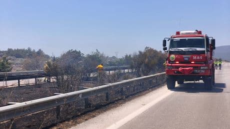 İzmir'de zeytinlik alandan yangın otoyola sıçradı! Ekipler kontrol altına aldı