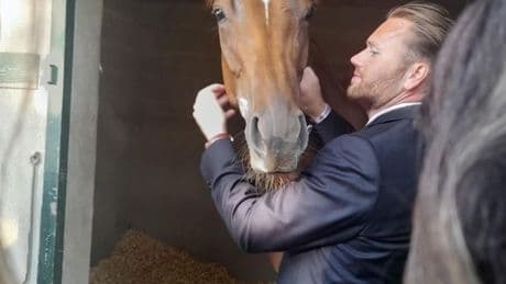 Influencer 'gutted' after star horse suffers injury which may bring premature end to campaign