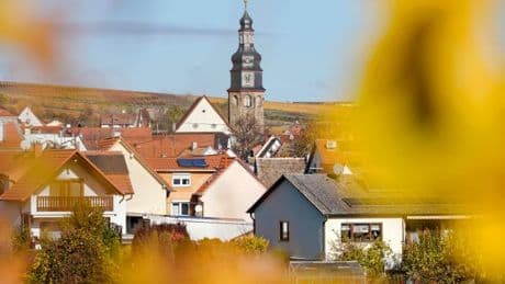 „Werde mit ihm zusammen da hinfahren“ – Merz will mit Donald Trump in die Pfalz