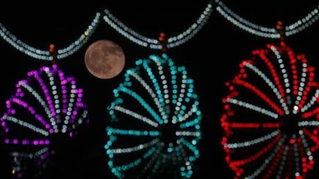 Luna de Flores de mayo de 2025: cómo y cuándo ver la segunda luna llena de la primavera
