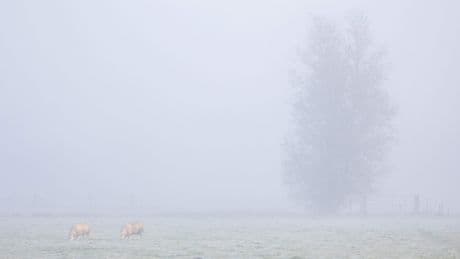 Eerste grondvorst nu al gemeten, uitzonderlijk vroeg