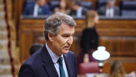 Feijóo: "Parece ser que empezaron robando en las primarias y no han parado de hacerlo"
