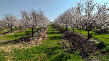 Homologado el plan de reestructuración de Crisolar Nuts