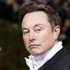 Treue Streiter mit Einfluss?: Musk hat trojanisches Pferd in Trumps Regierung platziert