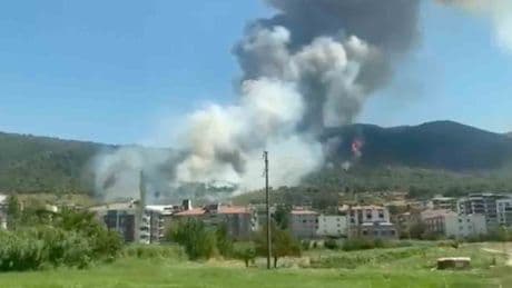 Manisa Soma’da orman yangını