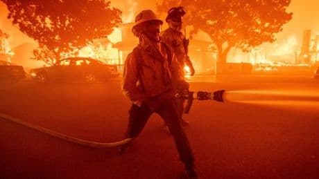 Klimabedingte Waldbrände könnten in den USA 15.000 Todesfällen mitverursacht haben