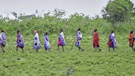 Techreuzen Meta en Netflix verliezen strijd van Masai en moeten klimaatprojecten staken